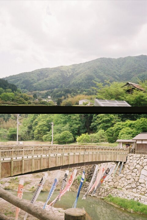 季節はずれの鯉のぼり