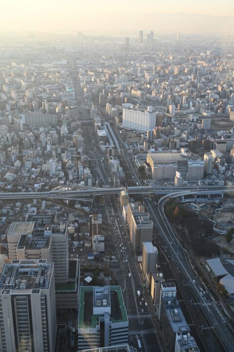 コンクリートジャングル